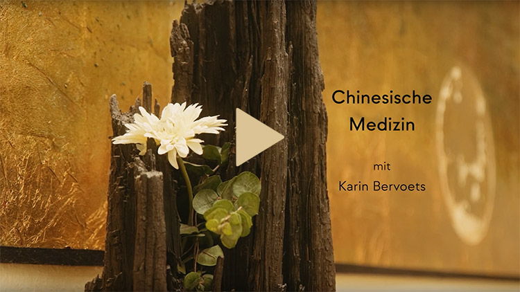 Video zur Praxis von Dr. med Karin Bervoets ansehen: Chinesische Medizin, Akupunktur, Kinderwunsch, integrative Reproduktionsmedizin in Frankfurt/Main